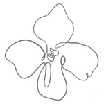 Lilac Sugaring - Hair removal service in Portland